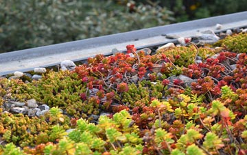 the cost of Kerry green roof installation